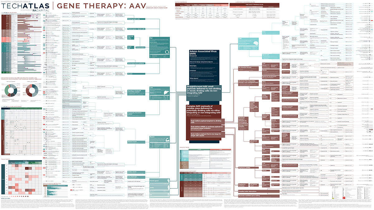 Gene Therapy AAV