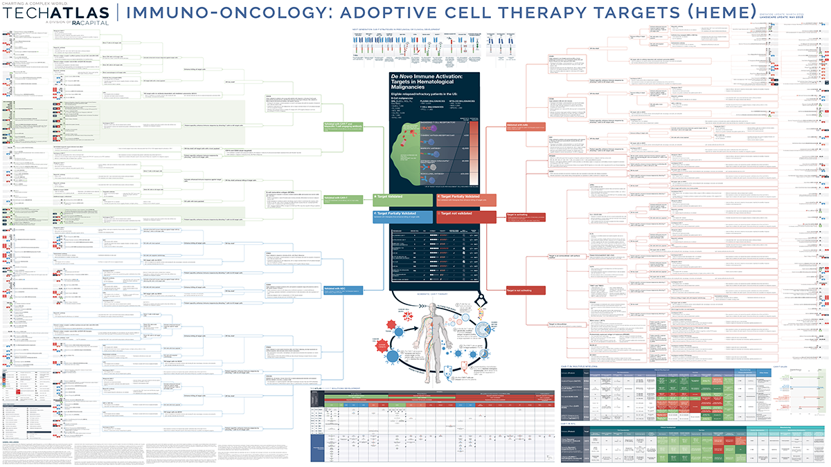 Immuno-oncology: Adoptive Cell Therapy Targets (HEME)
